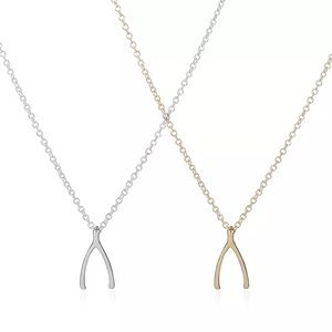 NEW Wishbone Pendant Necklace